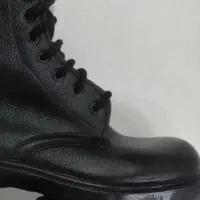 پوتین برنر بهمن ۴۳