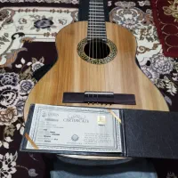 گیتار دست ساز Doris DS+