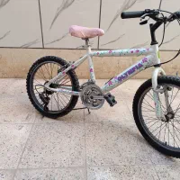 دوچرخه 20دنده ای