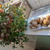 انرژی بار معجون دونات وافل خونگی خوشمزه سالم|خوردنی و آشامیدنی|شیراز, شهرک کوشکک|دیوار