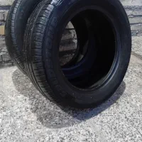 لاستیک ساینا