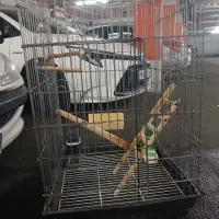 قفس کاسکو