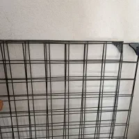 توری و رگال