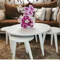 جلو مبلی و عسلی آرشا|مبلمان خانگی و میز عسلی|رشت, چله خانه|دیوار