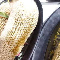 عسل وحشی کنار|خوردنی و آشامیدنی|اهواز, شهرک نفت|دیوار