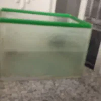 لوازم اکواریوم