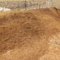 کود حیوانی|لوازم جانبی حیوانات|سامن, |دیوار