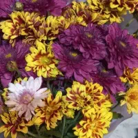 پول و سرمایه گذاری تا۵میلیاد