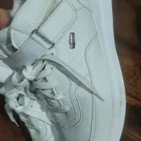 تعدادی کفش|کیف، کفش، کمربند|کرج, شهرک رضوانیه|دیوار