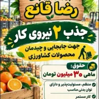 جذب اقا در گیلان