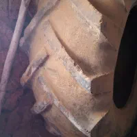 لاستیک فرگوسن