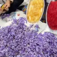 گل زعفران اصل|خوردنی و آشامیدنی|تهران, منیریه|دیوار