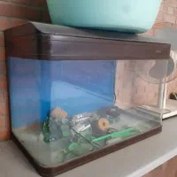 آکواریوم شرکتی با تمام لوازم