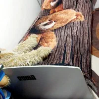 میز تحریر و تخت و کمد|میز تحریر و کامپیوتر|ابهر, |دیوار