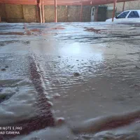 قالیشویی معجزه شهر تضمینی