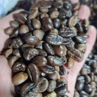 دون قهوه ۷۰*۳۰میکس فول کافئین