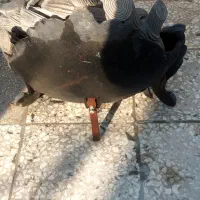 منقل شومینه چدنی به همراه چوب ش‌مینه|بخاری، هیتر، شومینه|تهران, علم و صنعت|دیوار