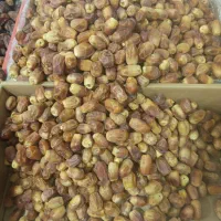 زاهدی|حراج|قم, سید معصوم|دیوار