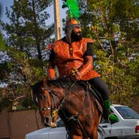 اسب  خوش تیپ  وبازی گوش