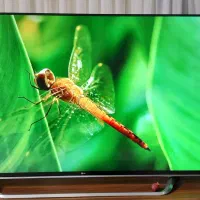 پرچمدار الجی65اینچ کره4Kهوشمند اسمارت|تلویزیون و پروژکتور|گرمدره, |دیوار