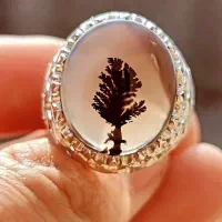 انگشتر شجر ایران قائن بی نظیر