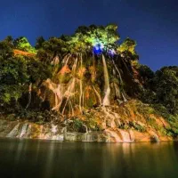 بیشه پوران (لرستان )
