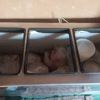 فریزر صندوقی تمام استیل|یخچال و فریزر|دزفول, |دیوار