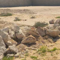 زمین توریان