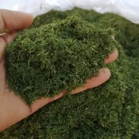 فروش انواع سبزی خشک