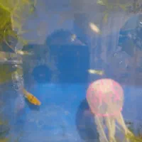 ماهی گوپی و مولی|ماهی|تهران, کوهک|دیوار