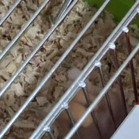 دو تا همستر با قفس رایگان