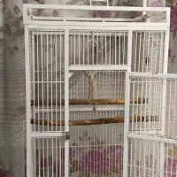 قفس بزرگ کاسکویی