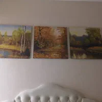 سرویس خواب بچه گانه|تخت و صندلی بچه|رشت, پسیخان|دیوار