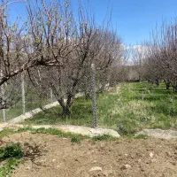 باغبان/ کاگر/ نگهبان