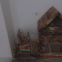 پرندم فروختم کلبه میفروشم