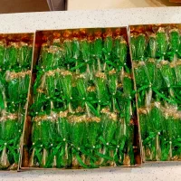 قند و نبات گیاهی و فانتزی|خوردنی و آشامیدنی|قم, شاه سید علی|دیوار