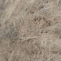 یونجه|لوازم جانبی حیوانات|مشگین شهر, |دیوار