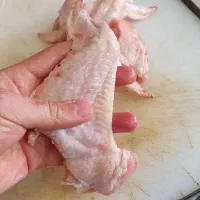 کتف و بال منجمد، فیله گرم، محدود