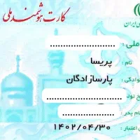 کازت ملی گمشده