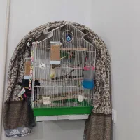 فروش قفس بزرگ