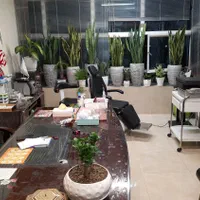 جشنواره مرکزفوق تخصصی لیزر مو درکرج|خدمات آرایشگری و زیبایی|کرج, اصفهانی‌ها|دیوار