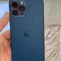 iPhone 12pro max|موبایل|بوشهر, |دیوار