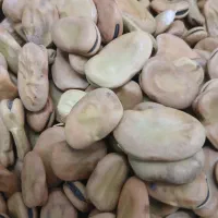 باقالی خشک بار امسال