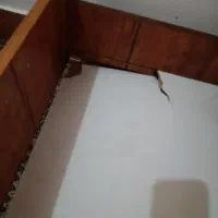 تخت کودک و نوجوان|تخت و سرویس خواب|شهریار, شهرک شاهد|دیوار