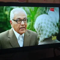 تلویزیون LED اسنوا 32 اینچ HD در حد نو