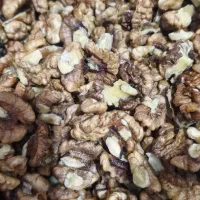 فروش مغز گردو تازه تویسرکان|خوردنی و آشامیدنی|اسلامشهر, شهرک قائمیه|دیوار