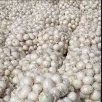 پیاز،سیب زمینی،گوجه
