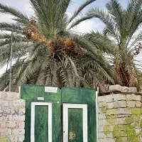 فروش خط همراه