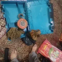 زنجیر و جرثقیل مکانیکی  قدیمی ساخت ژاپن۱تن
