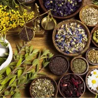نتورک مارکتینگ جذب بازاریابان محصولات سلامت محور|استخدام بازاریابی و فروش|تهران, سهروردی|دیوار